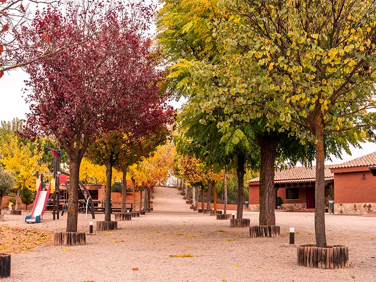 Bodega Andrés Iniesta · Estancia · 1