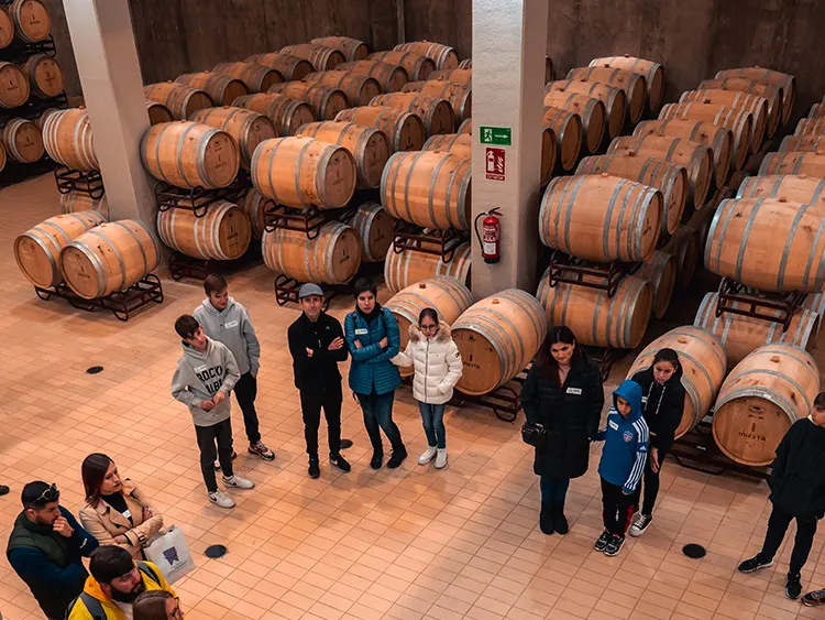 Bodega Andrés Iniesta · Visita Guiada (1)