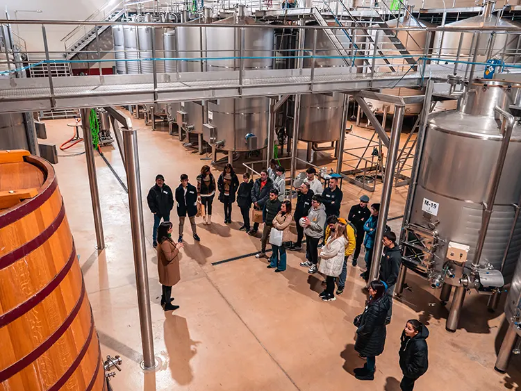 Bodega Andrés Iniesta · Visita Guiada (1)