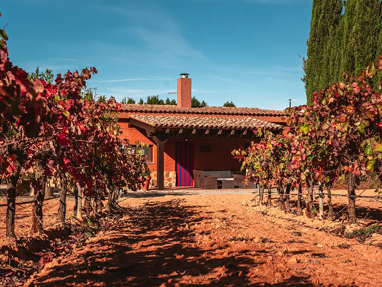 Bodega Andrés Iniesta · Casas Rurales