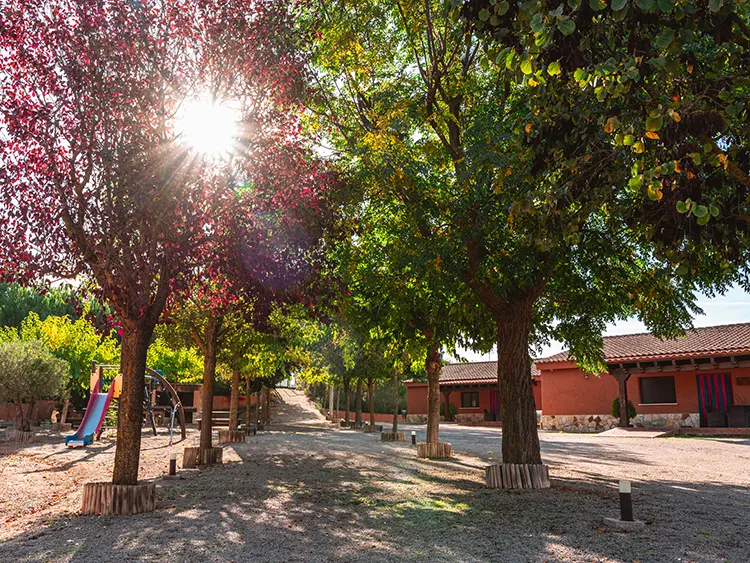 Bodega Andrés Iniesta · Casas Rurales (25)